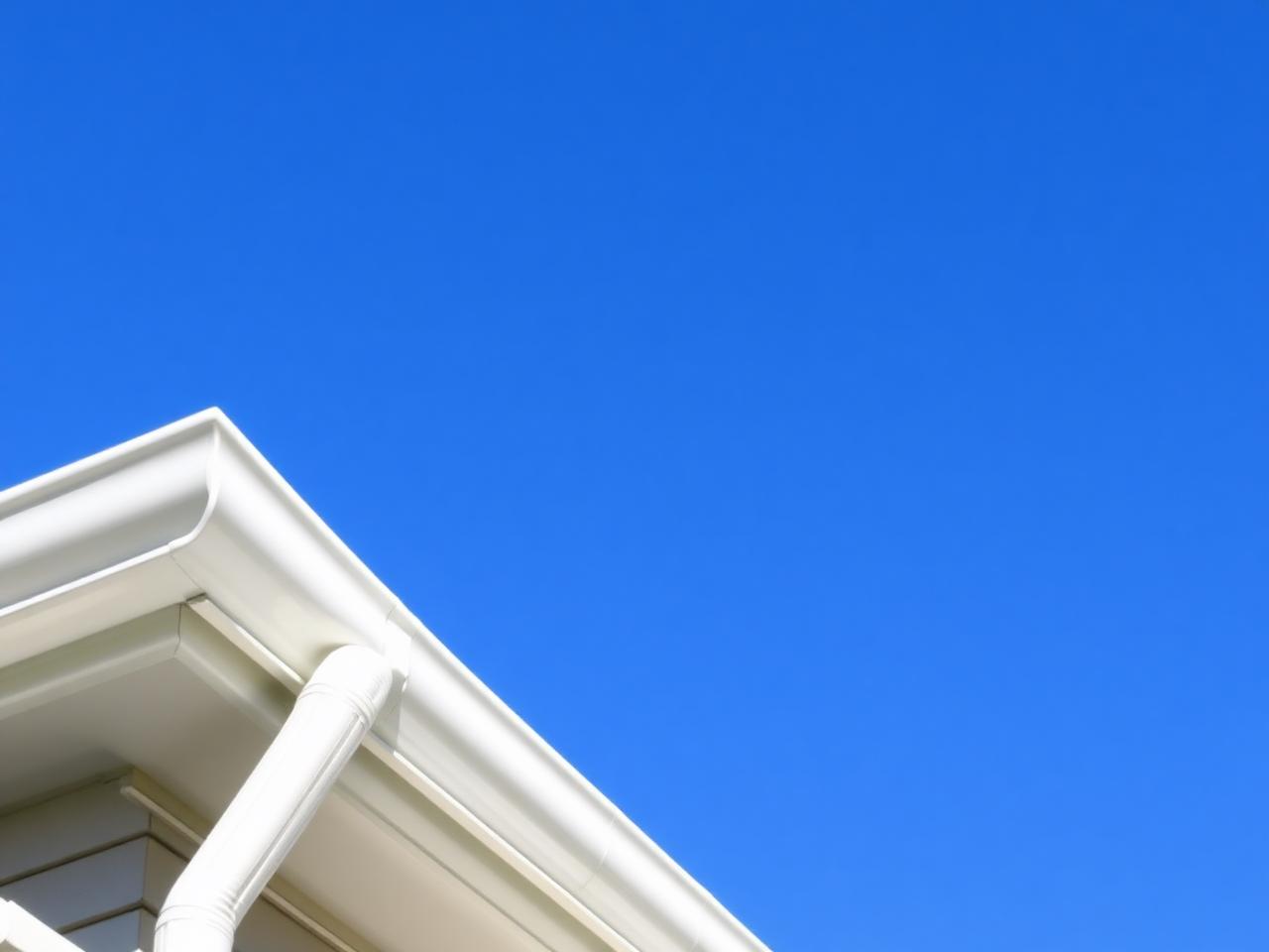 Gutter Cleaning
